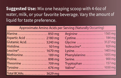 Vegan Protein Powder - Chocolate - Image 5